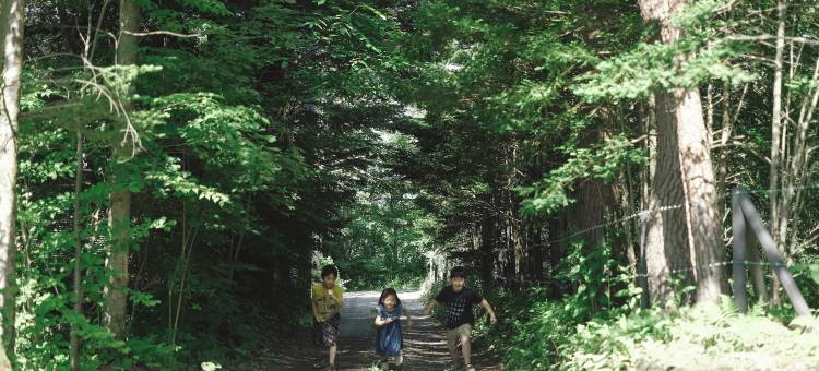 轻井泽森四季度假别墅酒店(Karuizawa Forest Seasons Villa)图片