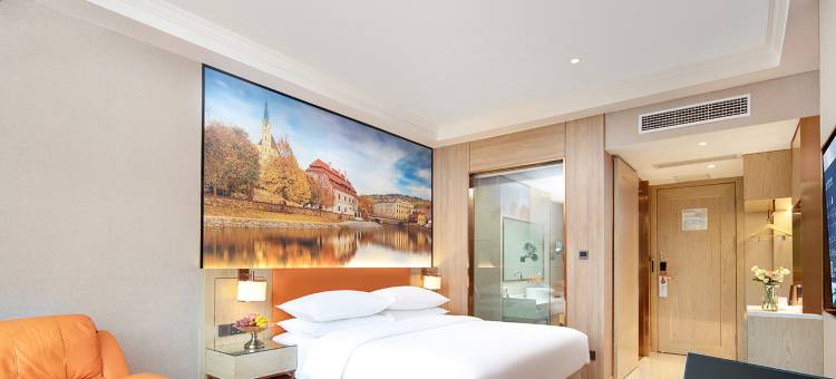 维也纳酒店(安顺关岭汽车站店)图片