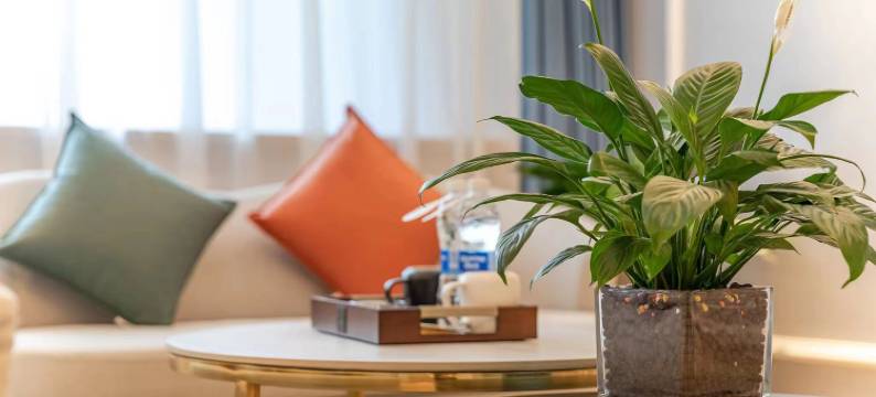 延安金朵酒店(百米大道店)图片