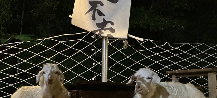 古龙峡微途秋晓秋民宿图片