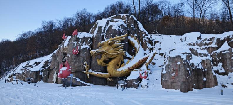 长白山龙顺雪山飞湖度假酒店图片