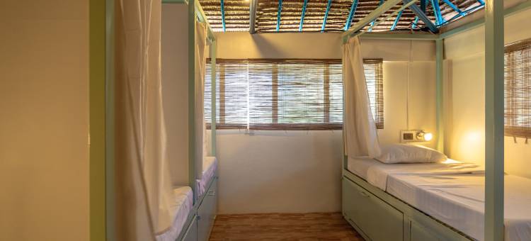 邦劳疯猴酒店(Mad Monkey Panglao)图片