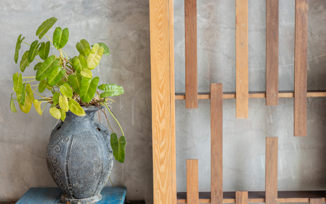 B2 Jomtien Pattaya Boutique & Budget Hotel Over view