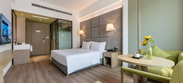 顺辉芭登印象酒店(江油高铁站店)图片