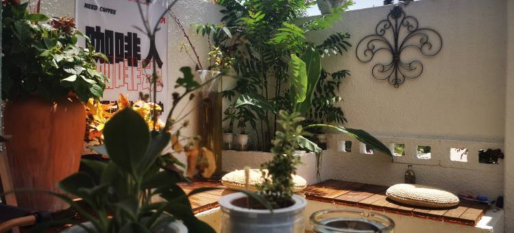 霞浦海名薇咖啡民宿图片