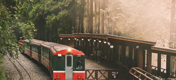 嘉义阿里山宾馆图片