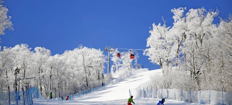 长白山万达悦华酒店图片