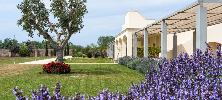 Torre Assunta Masseria图片