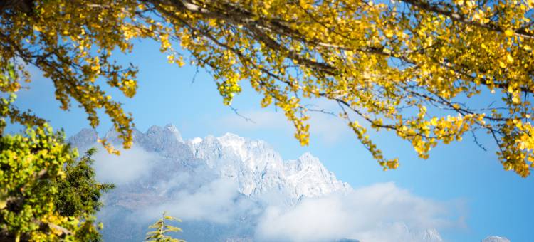 丽江束河元年度假别院图片