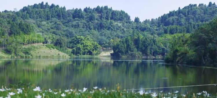 维也纳国际酒店(遂宁健坤城店)图片