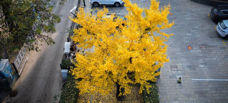 遵化阳光依水贵宾楼酒店图片