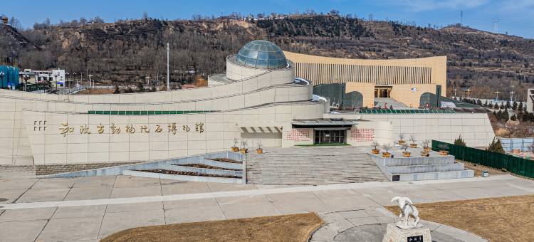 和政鸿森国际酒店图片