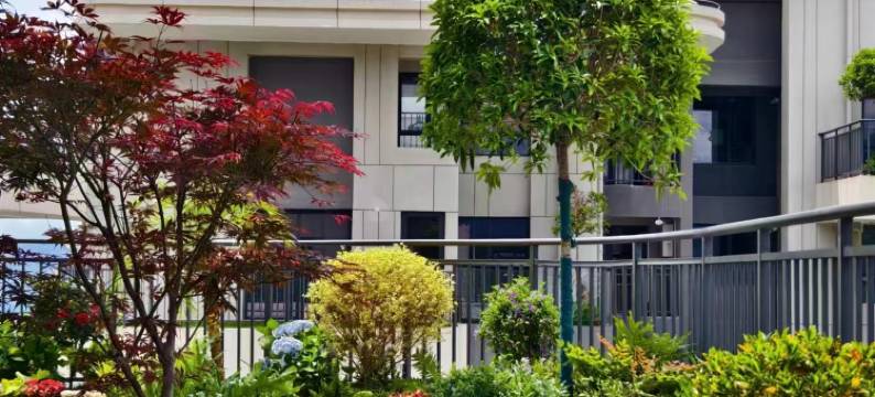 腾冲云栖兰舍民宿图片