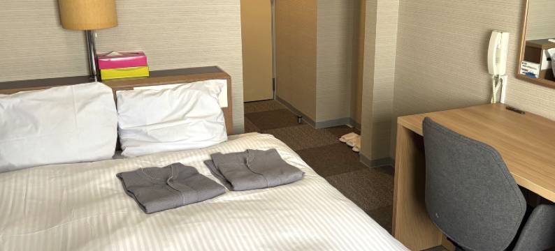 特托拉斯普利札幌酒店(Hotel Tetora Spirit Sapporo)图片