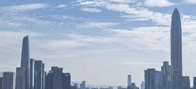 朋悦酒店 (深圳东门水贝珠宝城店)图片