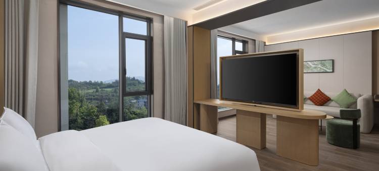 张家界天门山希尔顿花园酒店图片