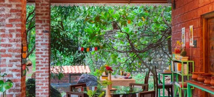 Nature Hill的LeafyDen森林小屋(Leafyden Forest Cottages)图片