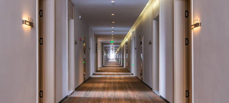 多伦亚悦酒店图片