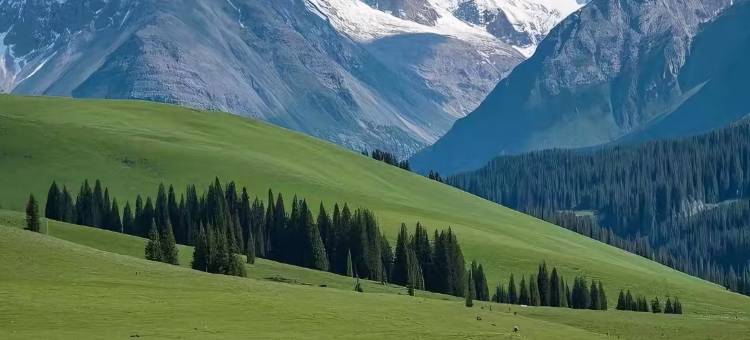 隆苑大酒店(鄂尔多斯康巴什区音乐喷泉广场店)图片