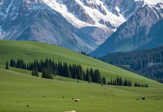 Longyuan HotelHotel Overview