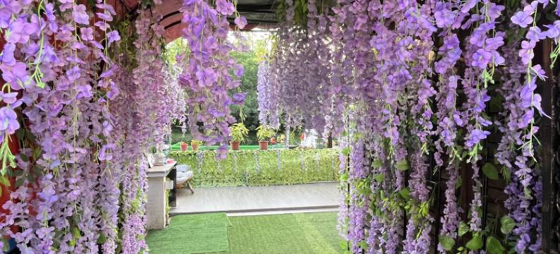 拾间·淼水楼民宿(青浦朱家角地铁站店)图片