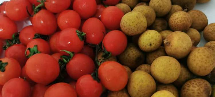 艺龙瑞云酒店(金华浦江廿亩山夜市店)图片