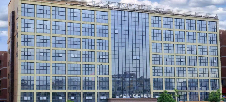 麗枫酒店(深圳坪山高铁站龙东地铁站店)图片