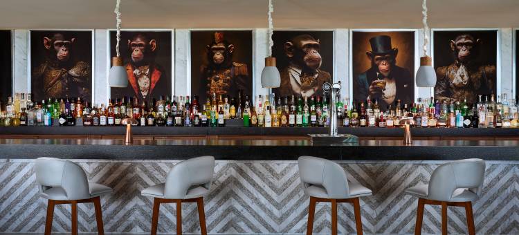 SLS PLAYA MUJERES图片