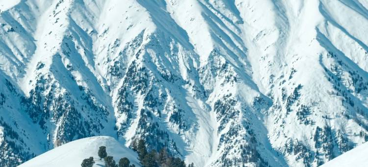 赤峰·尼杨琦琦丨TheBeautyofTheEast设计师民宿(世元大厦店)图片