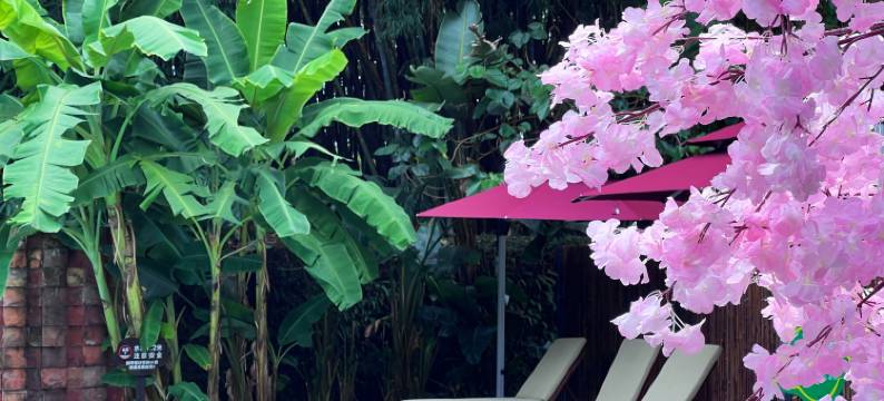 清远谷里汤泉民宿图片