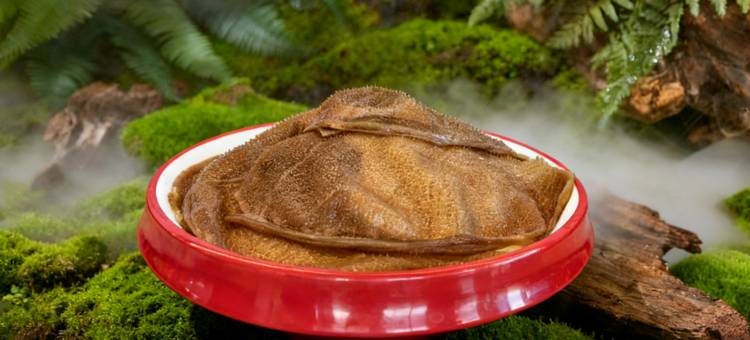 雪上酒店(塔什库尔干红其拉甫路店)图片