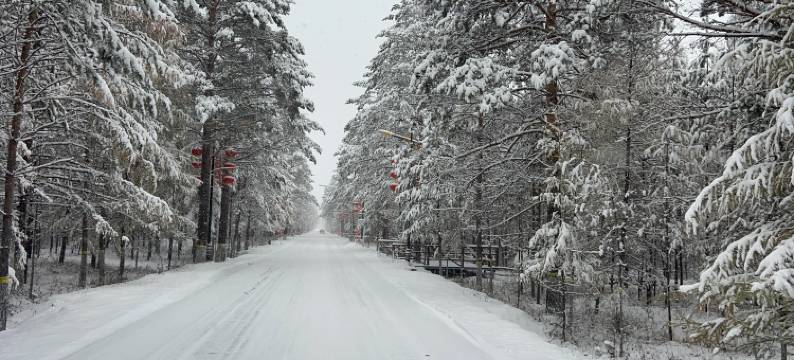 岭居·民宿(北极村店)图片