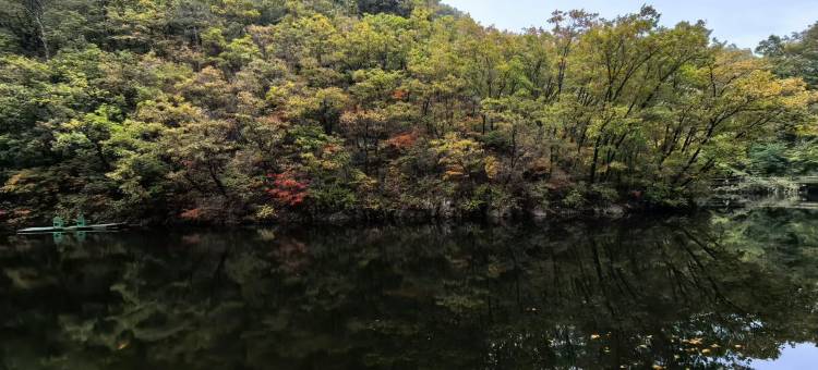 枫韵商务宾馆图片