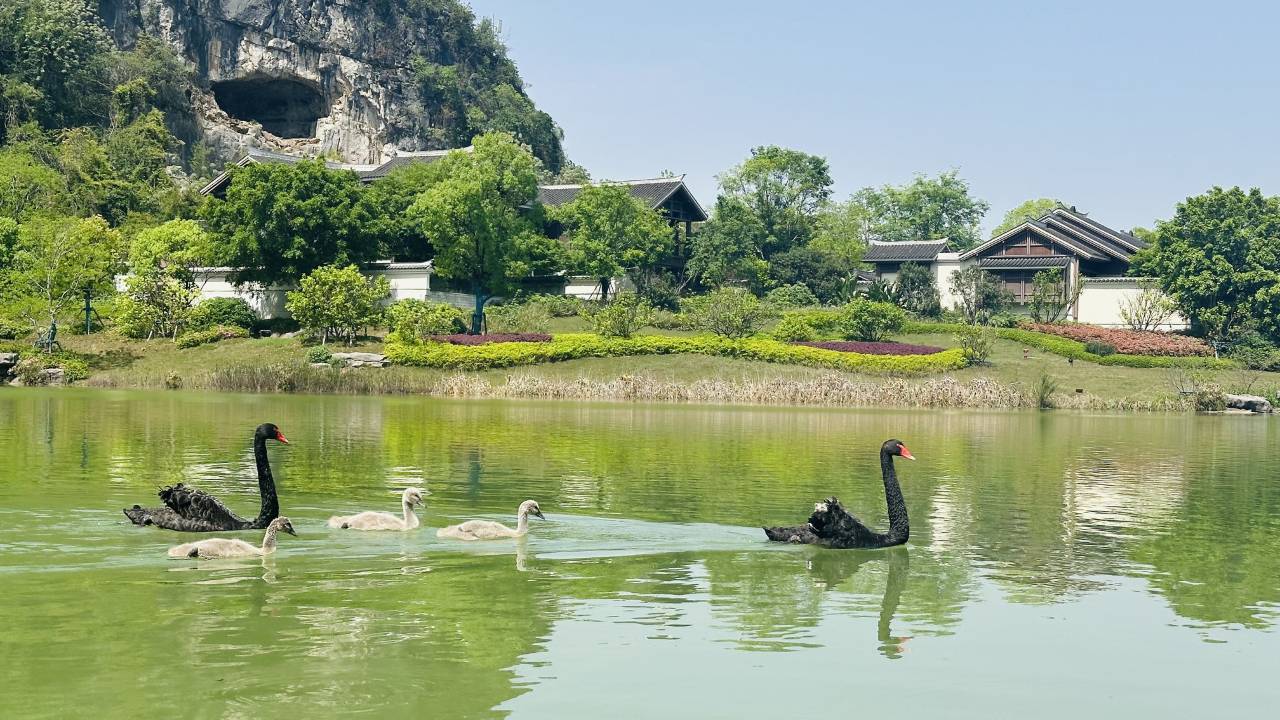 桂林雁山宋品酒店图片