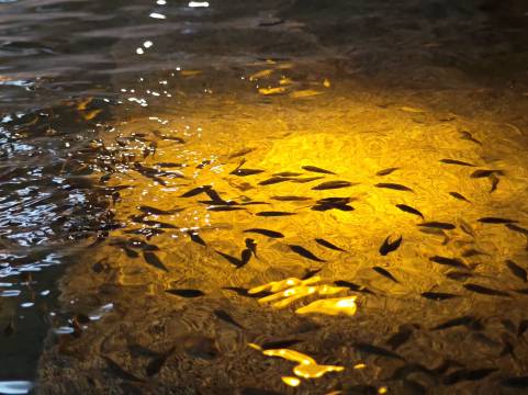 韶关龙泰翁山源温泉城图片