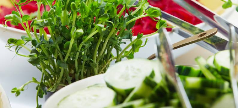 苏黎世机场展览中心诺富特酒店(Novotel Zurich Airport Messe)图片