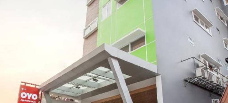 旗舰101苹果白金(Flagship 101 Apple Platinum)图片