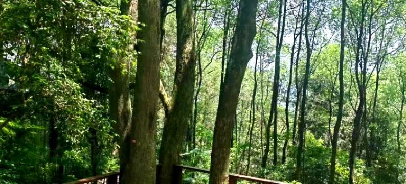 重庆鉴宽山房民宿图片