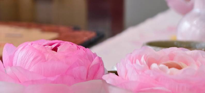 查济安予.喜舍四合院民宿图片