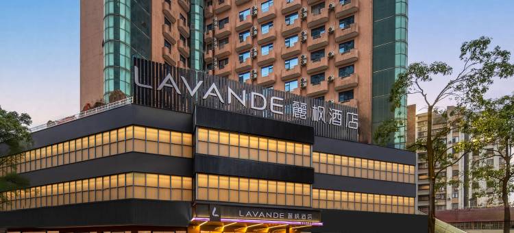 麗枫酒店(东莞樟木头中心店)图片