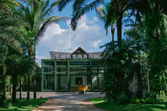 澜沧景迈柏联酒店图片