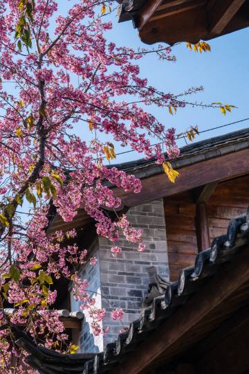 丽江古城英迪格酒店图片