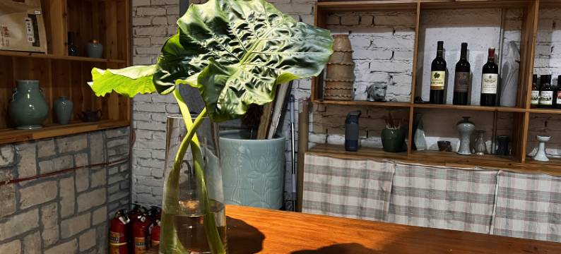 龙泉天青等烟雨客栈图片