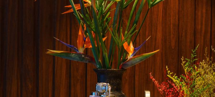 罗斯兰科普酒店(Roseland Corp Hotel)图片