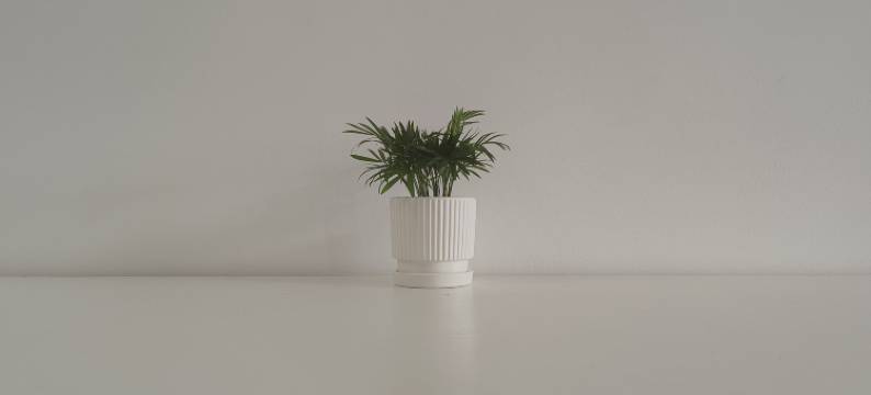 昆明浮生青年旅舍(昆明火车站店)图片