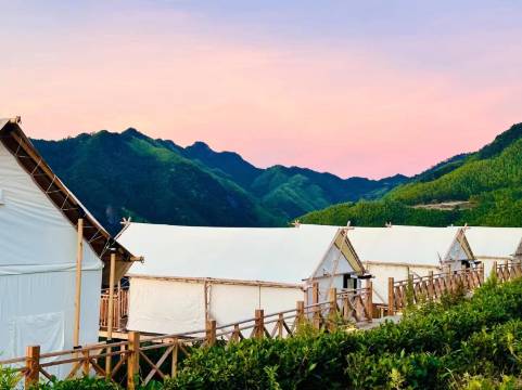 政和明月松间露营地