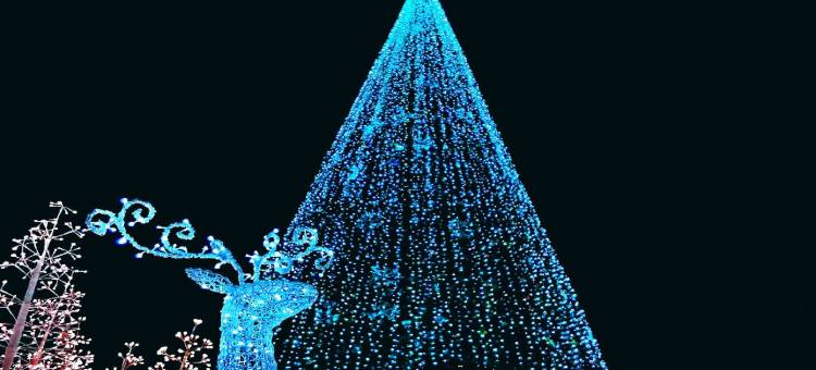 如家酒店·neo(深圳世界之窗白石洲店)图片