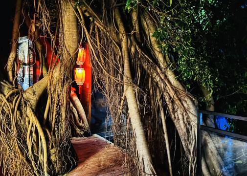 花筑·榕树下的院子(富力海洋文化城店)图片