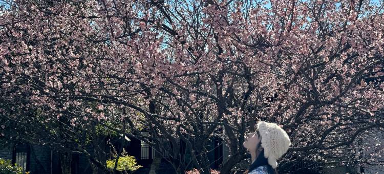 丽江中香界·问云山庄图片