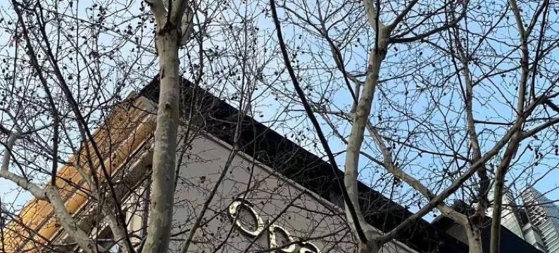 OPARTMENT远东饭店图片